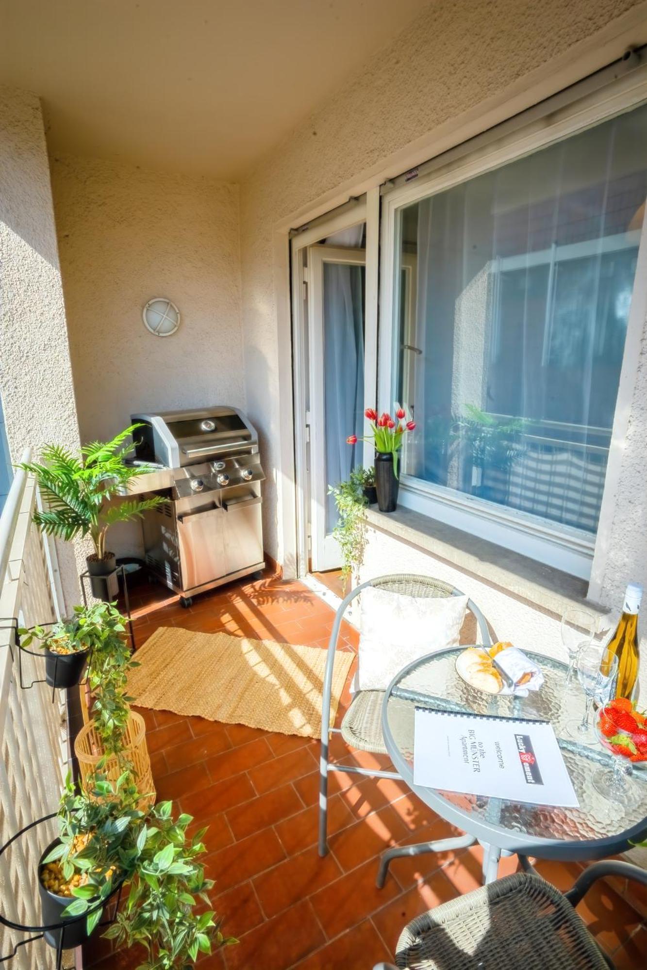 The Big Muenster Fuer Bis Zu 12, Whirlpool, Sauna, Zentral, Tischfussball, Balkon, Gasgrill Ulm Exteriör bild